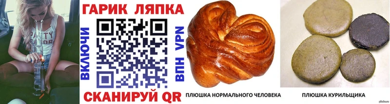 купить закладку  Заозёрск  ГАШ ice o lator 
