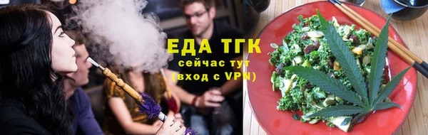 ECSTASY Гусь-Хрустальный
