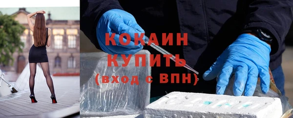 ECSTASY Гусь-Хрустальный