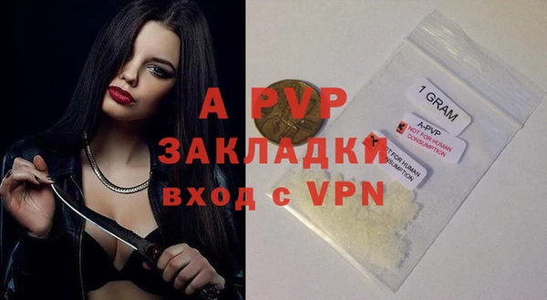 ECSTASY Гусь-Хрустальный