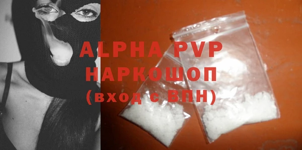 стафф Гусиноозёрск