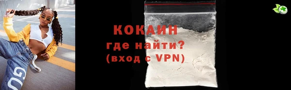 ECSTASY Гусь-Хрустальный