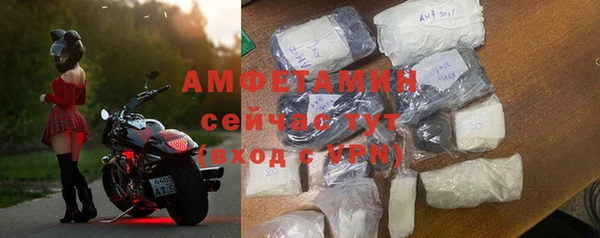 ПСИЛОЦИБИНОВЫЕ ГРИБЫ Вяземский