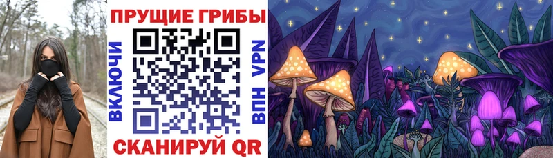 Галлюциногенные грибы Psilocybine cubensis  OMG вход  Заозёрск  наркошоп 